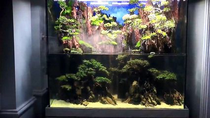 35厘米原生魚缸造景：35厘米原生魚缸的造景技巧 魚缸百科 第2張