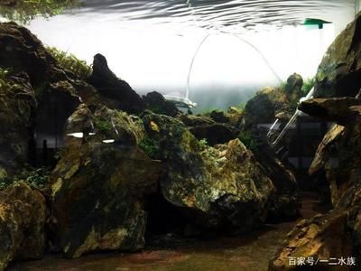 60魚缸二氧化碳開多大：60 魚缸百科 第3張