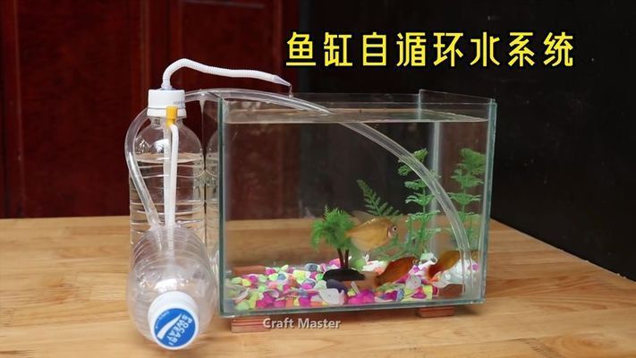 DIY手工給魚缸制作一個(gè)免通電的水循環(huán)系統(tǒng)：diy手工給魚缸制作一個(gè)免通電的水循環(huán)系統(tǒng) 魚缸百科 第4張