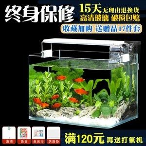 30L魚(yú)缸打氧多久：30升的魚(yú)缸需要打氧嗎 魚(yú)缸百科 第2張