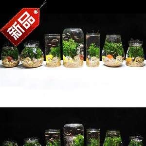 diy魚缸擺件：diy魚缸擺件推薦 魚缸百科 第1張