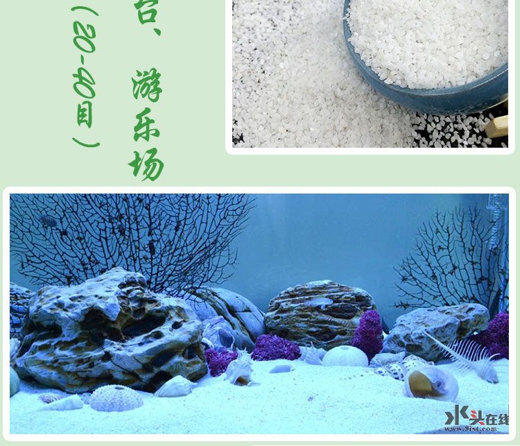 50的魚缸造景需要多少沙子：魚缸造景沙子用量計算 魚缸百科 第1張