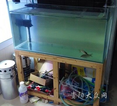 600的魚缸：600的魚缸可以養(yǎng)多少魚？ 魚缸百科 第1張