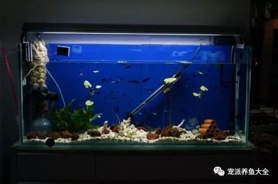 30瓦的魚缸水泵一天多錢：30瓦的魚缸水泵一天的耗電量是多少？ 魚缸百科 第4張