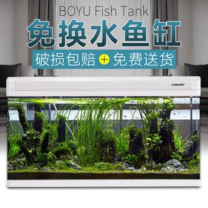 fishtank魚缸咖啡：fishtank魚缸咖啡廳 魚缸百科 第3張