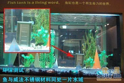 fishtank魚缸咖啡：fishtank魚缸咖啡廳 魚缸百科 第1張