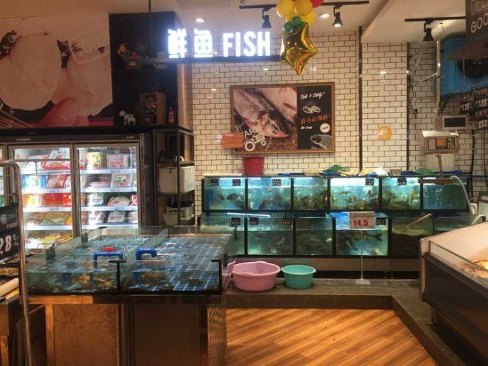 fishtank魚缸咖啡：fishtank魚缸咖啡廳 魚缸百科 第4張