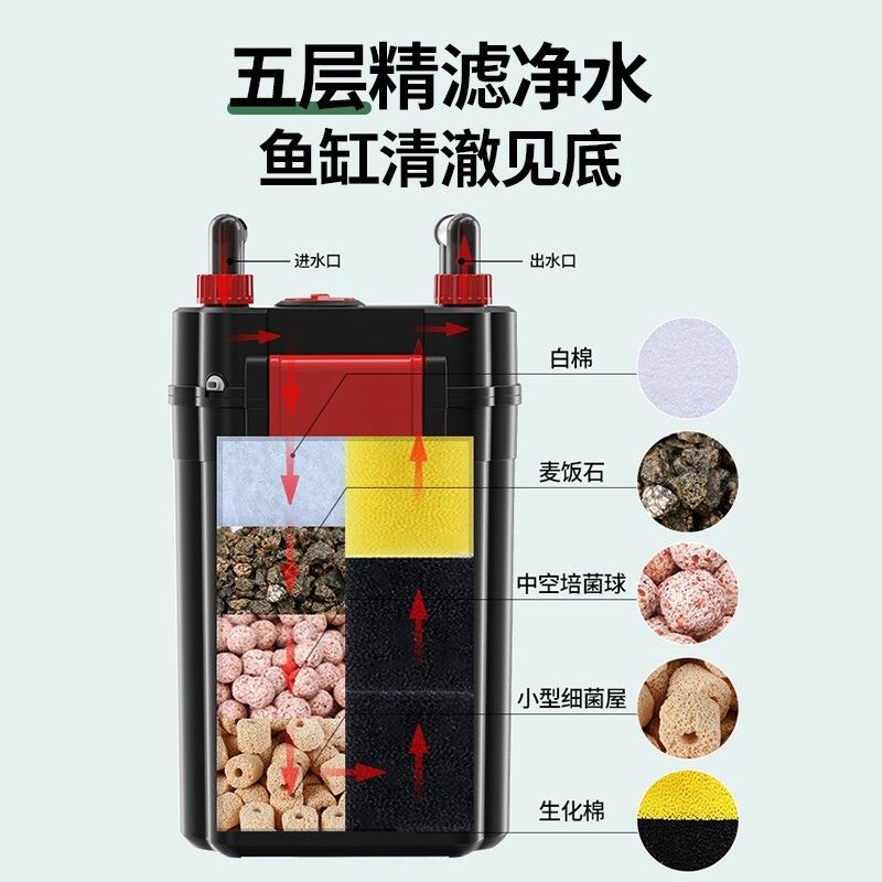 80厘米魚缸用多大過濾器：魚缸過濾器的選擇