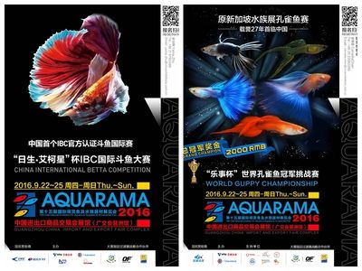 2024廣州水族展會(huì)時(shí)間地點(diǎn)：2024廣州水族展會(huì)時(shí)間和地點(diǎn)