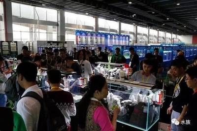 2024廣州水族展會(huì)時(shí)間：2024年廣州水族展2024年廣州水族展時(shí)間安排 魚缸百科 第2張