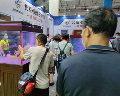 2024廣州水族展會(huì)時(shí)間：2024年廣州水族展2024年廣州水族展時(shí)間安排 魚缸百科 第3張