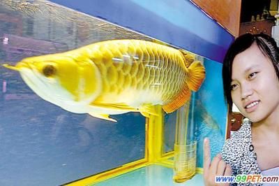 2024廣州寵物水族展會(huì)時(shí)間：2024年的廣州寵物水族展會(huì)將在2024年9月10-13日,舉行