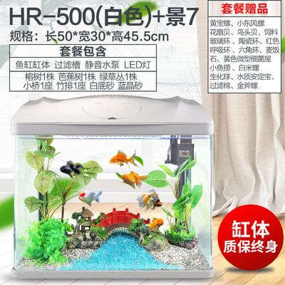 800長350寬500高的魚缸用什么過濾：魚缸過濾器怎么選？ 魚缸百科 第4張