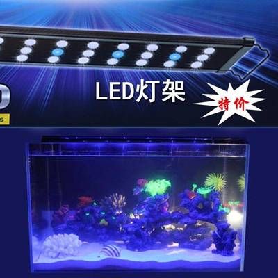 diy魚缸led背景板：自制魚缸led背景板的方法 魚缸百科 第1張