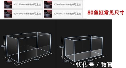 60魚缸上濾槽設(shè)計(jì)圖尺寸：60魚缸上濾槽設(shè)計(jì)圖尺寸計(jì)算方法 魚缸百科 第1張