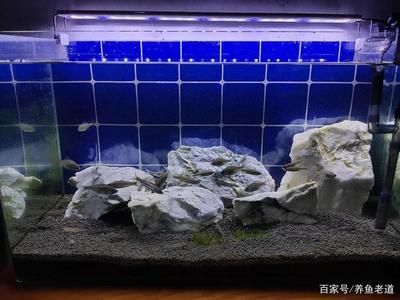 30厘米小魚缸造景水泵安裝視頻：30厘米小魚缸造景水泵安裝教程