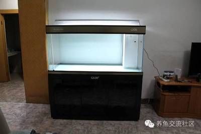 diy魚缸制作圖溢流：diy魚缸制作圖溢流的工作原理