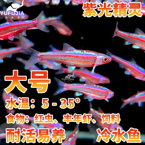 fujia魚缸：富甲魚缸十大品牌排行榜