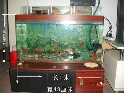 1米魚缸價格及圖片及價格視頻講解：1米魚缸價格在1300元左右