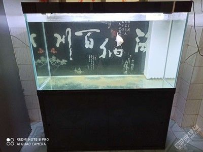 1米長的魚缸養(yǎng)什么魚比較好：一米的魚缸養(yǎng)什么魚比較好？