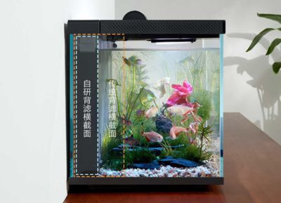 30x20x20的魚缸適合養(yǎng)多少魚：30x20x20x20的魚缸尺寸以及適合養(yǎng)的魚的種類和數(shù)量