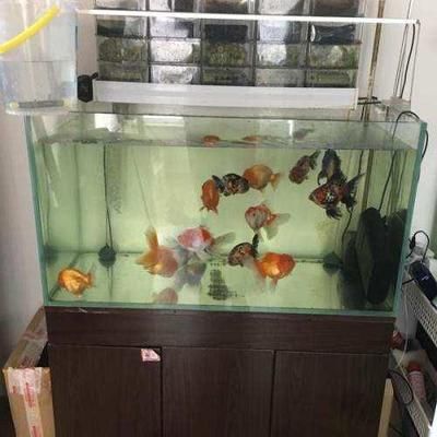 1506080的魚缸多少L：150/60/80魚缸容量計算公式