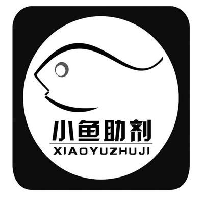 三紋虎魚養(yǎng)多久能長大成型：從3公分養(yǎng)到大約15公分的三紋虎魚養(yǎng)多久能長大成型 印尼三紋虎 第2張