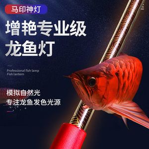 馬印2700k烤色燈對(duì)龍魚發(fā)色好嗎：馬印2700k烤色燈對(duì)龍魚發(fā)色有益嗎 馬印水族 第2張