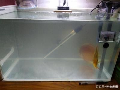 博特水族水泵售后：博特水族水泵的售后情況如下 博特水族 第2張