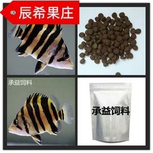 虎魚喂什么飼料：虎魚喂食飼料選擇和注意事項 虎魚百科 第1張