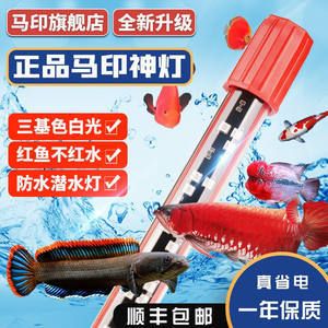 馬印燈放在水族箱的哪個(gè)位置：馬印燈放在水族箱的最佳放置位置取決于用戶的需求和實(shí)際情況 馬印水族 第4張