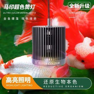 馬印神燈能養(yǎng)草嗎怎么養(yǎng)：馬印神燈可以用于養(yǎng)水草，但效果可能不如專門針對水草生長 馬印水族 第4張