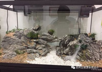 1.5米魚缸簡單造景：1.5米的魚缸簡單造景