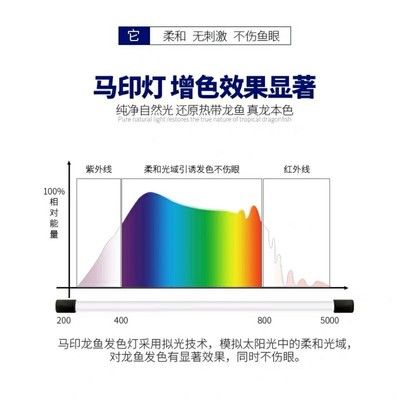 馬印神燈和發(fā)色燈哪個(gè)好用：馬印神燈和發(fā)色燈哪個(gè)好