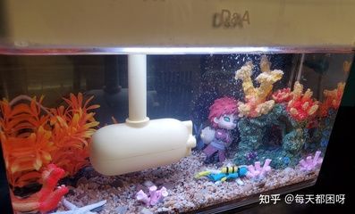 18厘米魚缸造景：18厘米魚缸造景方法和注意事項