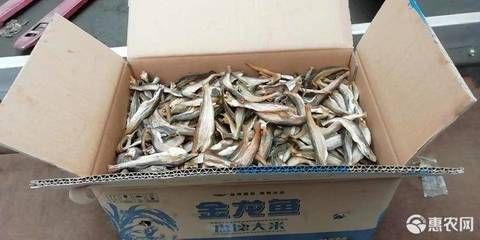 泰國虎魚價格與圖片及價格：泰國虎魚價格與圖片價格 泰國虎魚 第3張