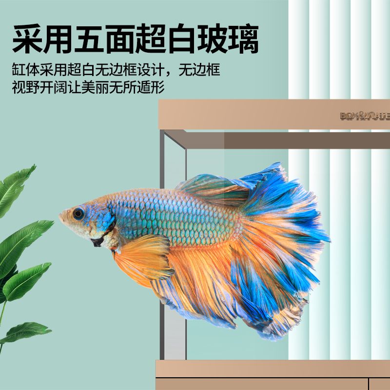 博特魚缸怎么換水的：博特魚缸怎么換水 博特水族 第3張