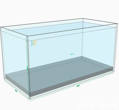 19mm玻璃魚缸極限：19mm厚的玻璃在制作魚缸時(shí)有一定的極限尺寸 魚缸百科 第3張