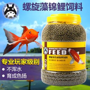 蘇虎魚吃什么飼料：蘇虎魚的飼料選擇和注意事項