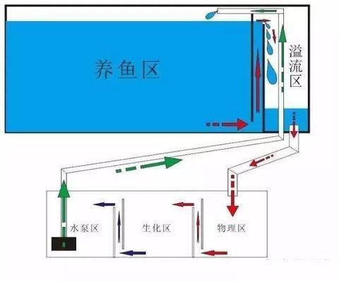 博特魚(yú)缸底濾沉淀倉(cāng)怎么清洗：博特魚(yú)缸底濾沉淀倉(cāng)怎么清洗博特魚(yú)缸底濾沉淀倉(cāng)的清洗方法