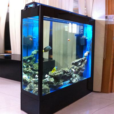 1206060魚缸不用拉筋：120/60/60規(guī)格的魚缸是否需要使用拉筋？ 魚缸定做 第1張