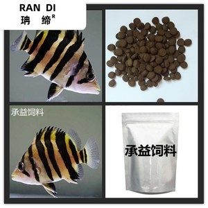 印尼虎魚能吃嗎怎么喂飼料：印尼虎魚可以吃嗎 虎魚百科 第3張