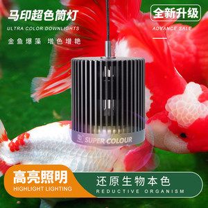 魚缸馬印神燈怎么樣拆卸：魚缸馬印神燈怎么樣拆卸魚缸馬印神燈怎么拆卸 馬印水族 第3張