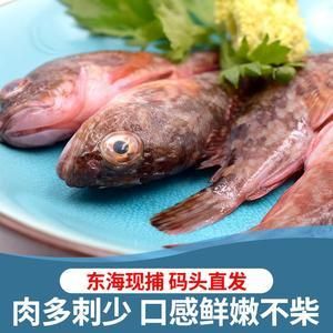 小虎頭魚怎么做好吃：小虎頭魚怎么做好吃小虎頭魚的烹飪方法 虎魚百科 第2張