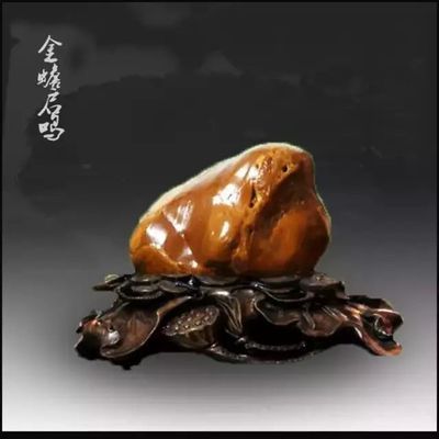 虎魚的種類怎么區(qū)分：泰國(guó)虎魚的種類及其區(qū)分方法 泰國(guó)虎魚 第2張