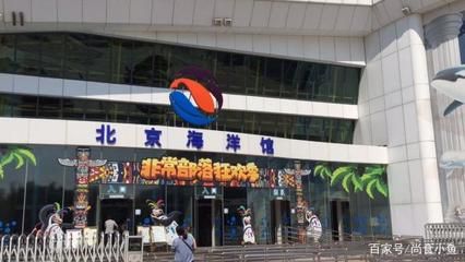 北京龍魚批發(fā)市場營業(yè)時間：北京龍魚批發(fā)市場的營業(yè)時間