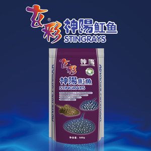 魟魚小的時候喂什么飼料長得快：魟魚小的時候喂什么飼料長得快[需手動填充]魚小的時候喂什么飼料長得快 魟魚百科 第3張