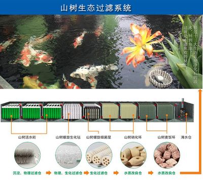 彩蝶魚缸干濕分離盒溢水原因是什么：彩蝶魚缸干濕分離盒溢水原因是什么彩蝶魚缸干濕分離盒溢水原因 彩鰈魚缸（彩蝶魚缸） 第1張