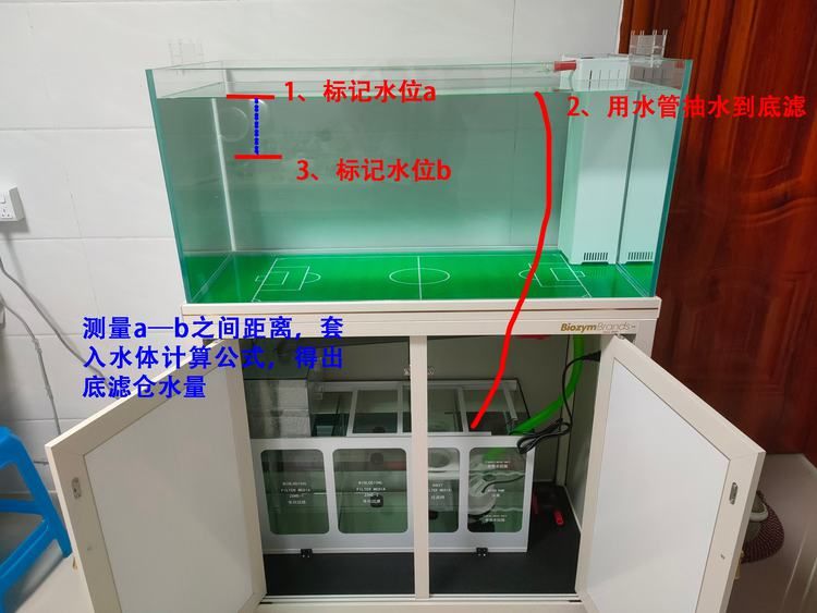 1.8米的魚缸大概多少水：1.8米長(zhǎng)的魚缸大概多少水