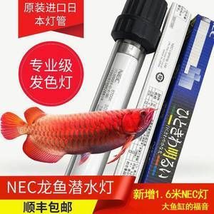 nec發(fā)色燈好還是馬印燈好用呢：nec發(fā)色燈好還是馬印神燈好用 馬印水族 第3張